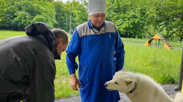 Стало известно, когда и куда к дачникам приедут ветеринары