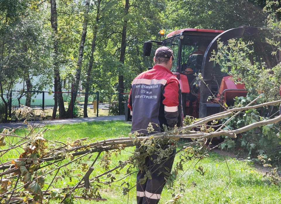 В 1-м микрорайоне Егорьевска приводят в порядок зеленые зоны