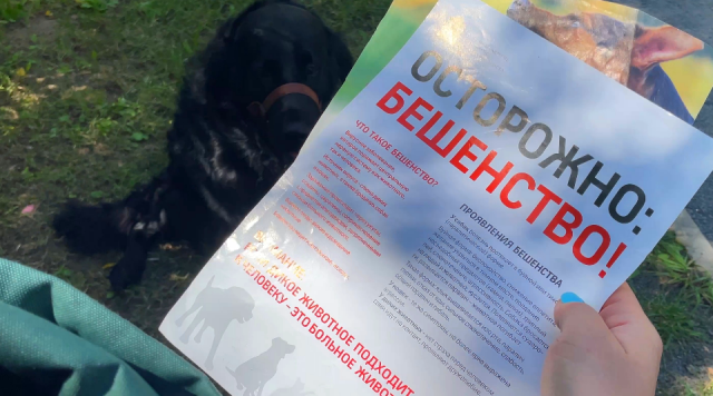 В какие можайские деревни приедут мобильные ветеринары 11 сентября