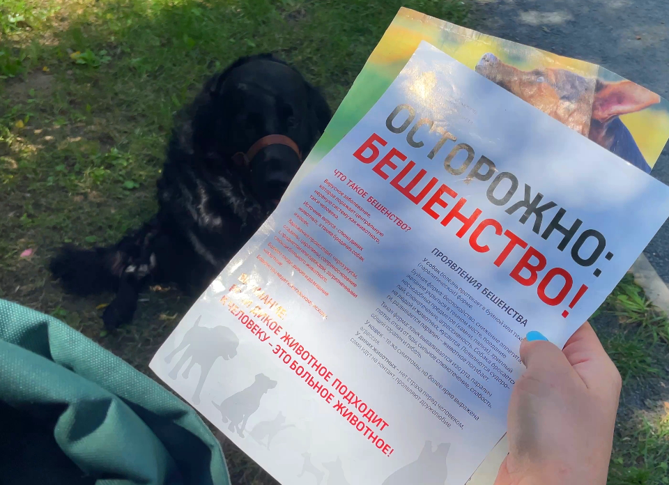 В какие можайские деревни приедут мобильные ветеринары 11 сентября