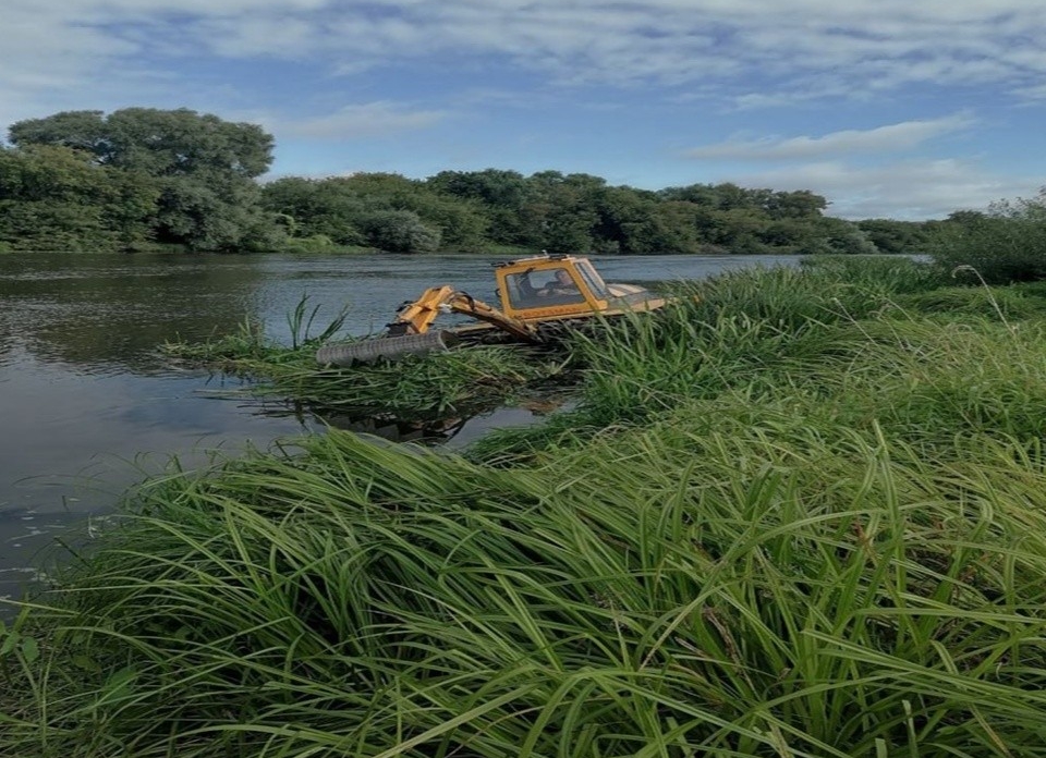 В Орехово-Зуеве от водной растительности очистили участок реки Клязьма