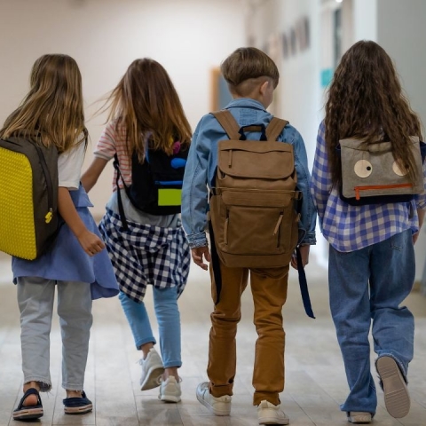 Как получить набор школьных принадлежностей в Орехово-Зуеве