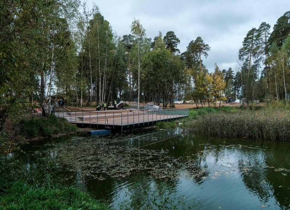 Лесопарк «Стрелки» обещают сделать жемчужиной Орехово-Зуева