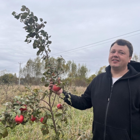 Фермер из Егорьевска планирует построить завод по переработке яблок