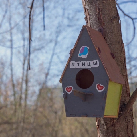 Синичкин день и осенний движ: бесплатный досуг для жителей подготовили парки Орехово-Зуева