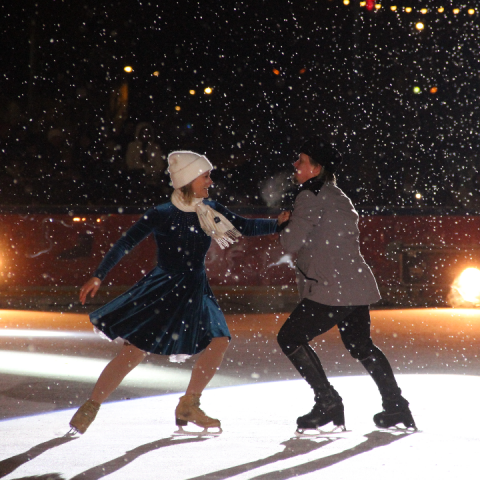 Каток с искусственным льдом откроют в главном городском парке