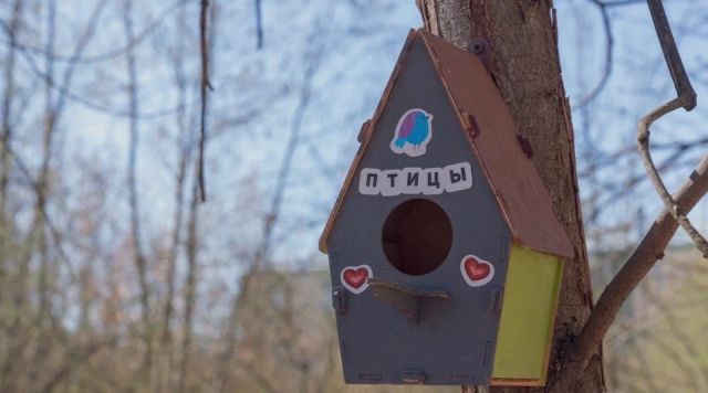 Синичкин день и осенний движ: бесплатный досуг для жителей подготовили парки Орехово-Зуева