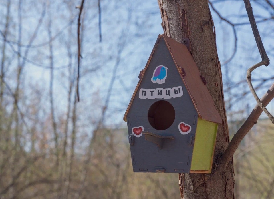 Синичкин день и осенний движ: бесплатный досуг для жителей подготовили парки Орехово-Зуева