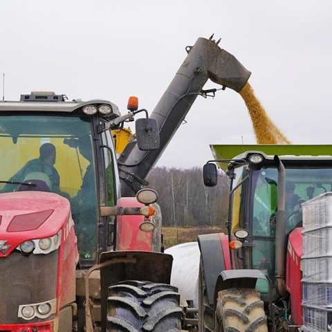 На 30% больше: ступинские аграрии завершают уборочную кампанию с рекордными показателями