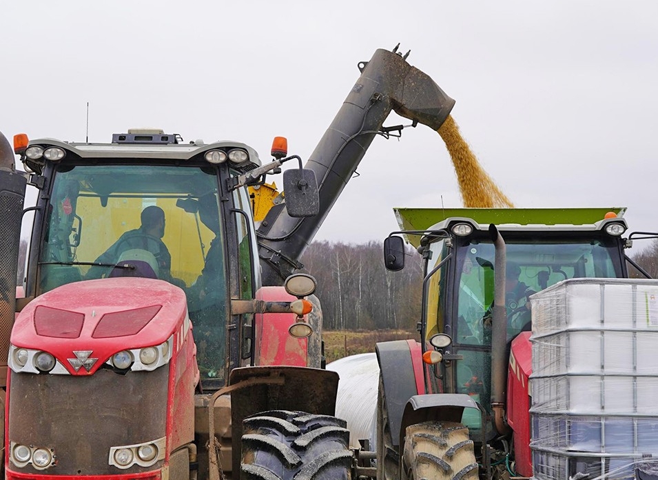 На 30% больше: ступинские аграрии завершают уборочную кампанию с рекордными показателями
