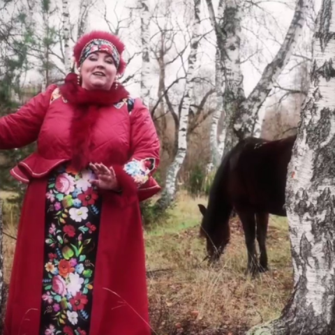 Жительница Егорьевска сняла клип «Символы России»