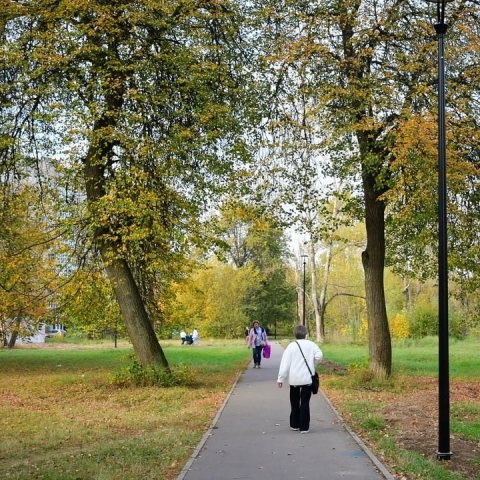 Афиша парков Орехово-Зуева на неделю: жителей ждут мастер-классы, квизы и спорт