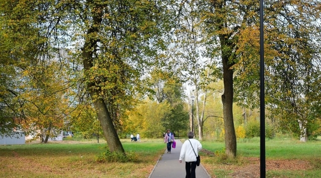 Афиша парков Орехово-Зуева на неделю: жителей ждут мастер-классы, квизы и спорт