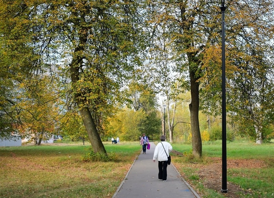 Афиша парков Орехово-Зуева на неделю: жителей ждут мастер-классы, квизы и спорт