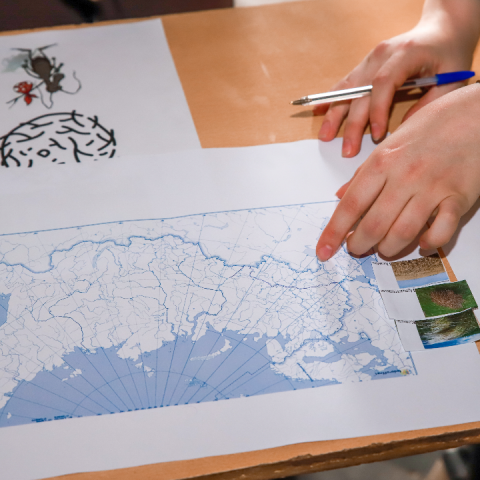 Открыть Россию заново: географический диктант напишут в музее Бородинское поле