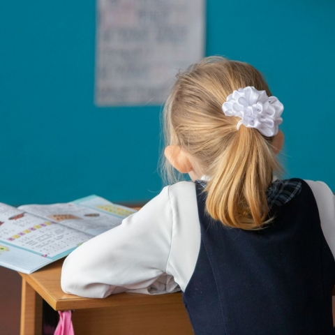 В Калужской области усилят меры безопасности в школах после трагедии в Подмосковье