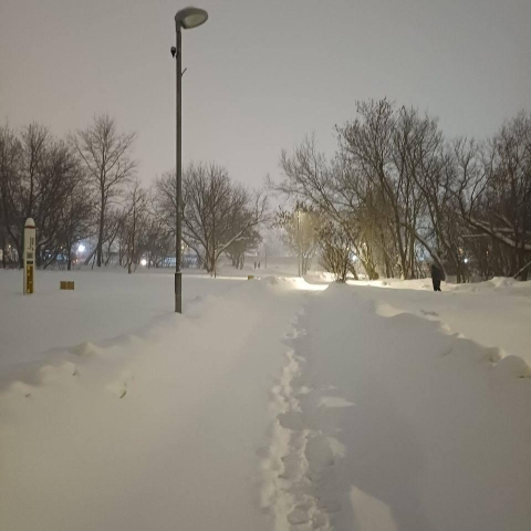 Прогноз погоды на 29.01.2026 года.