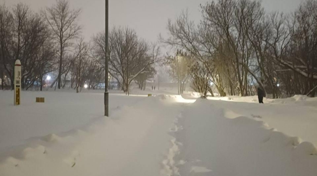 Прогноз погоды на 29.01.2026 года.