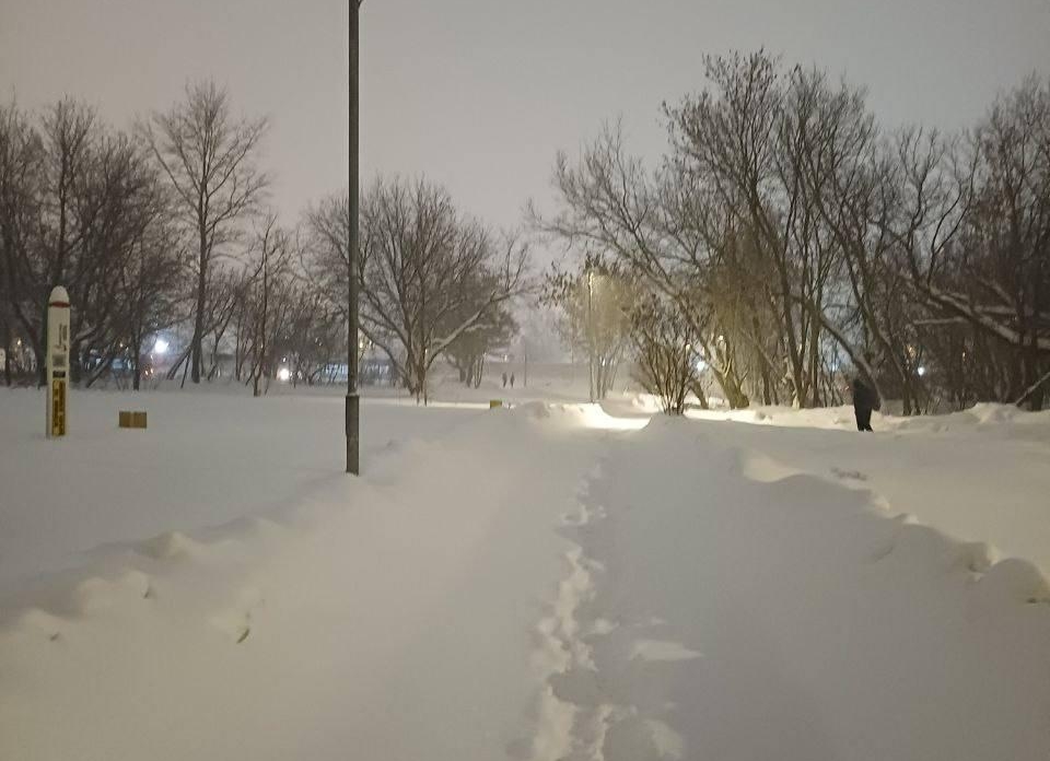 Прогноз погоды на 29.01.2026 года.