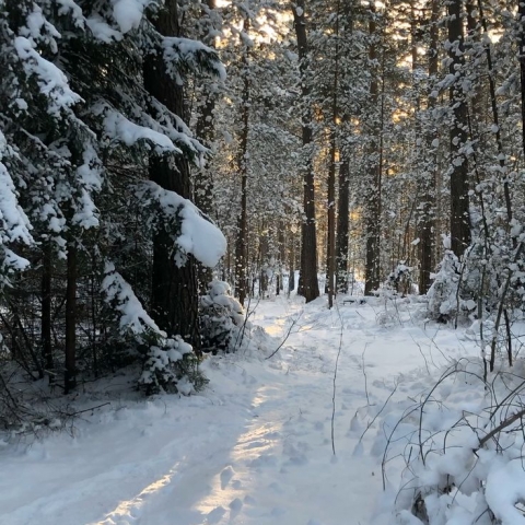 Экстренное предупреждение об опасных метеорологических явлениях на 30.01.2026 