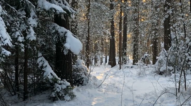 Экстренное предупреждение об опасных метеорологических явлениях на 30.01.2026 