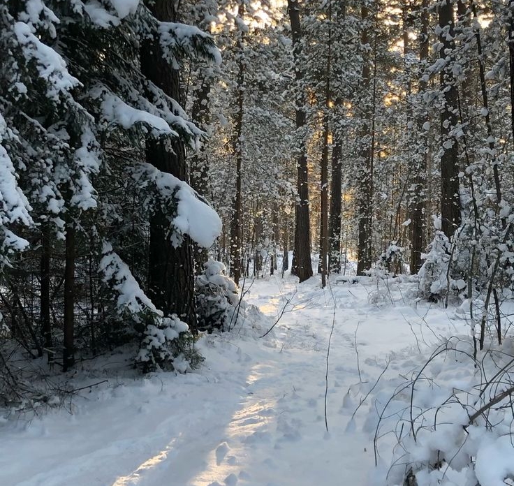 Экстренное предупреждение об опасных метеорологических явлениях на 30.01.2026 