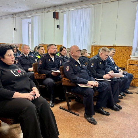 Камеры против воров: как система «Безопасный регион» помогает ловить преступников в Ступине