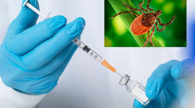 Сезон клещей близко: где в Егорьевске успеть привиться по правильной схеме