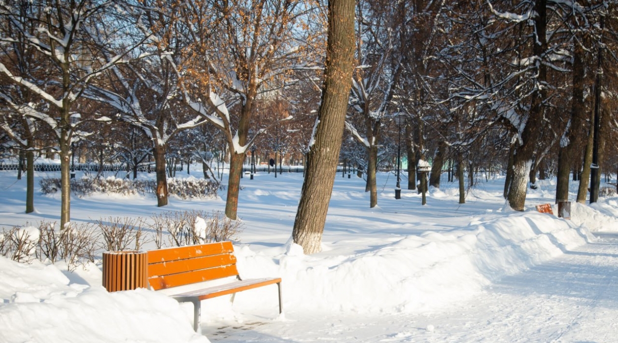Бочмановский сквер приведут в порядок в Коломне