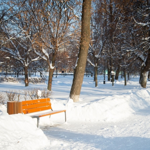 Бочмановский сквер приведут в порядок в Коломне