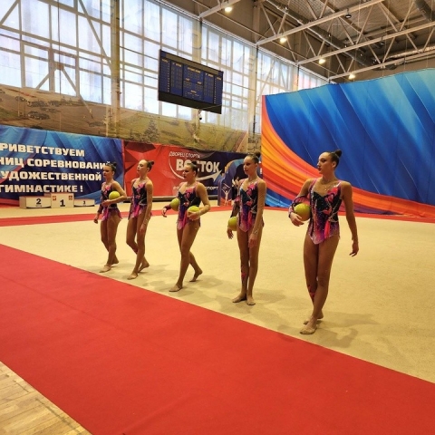 Во Дворце спорта «Восток» определят сильнейших гимнасток Московской области