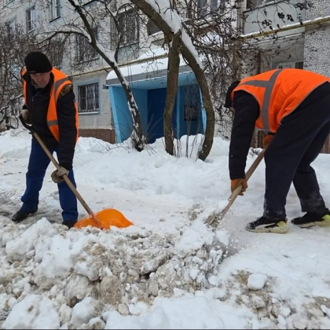 Снежный вызов принят: в Коломне мобилизовали силы для борьбы с последствиями «Фрэнсиса»