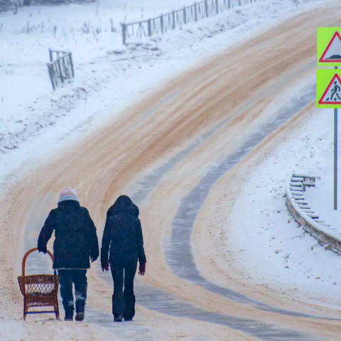 Дороги, баян или шатер: в Можайске началось голосование за 16 инициативных проектов