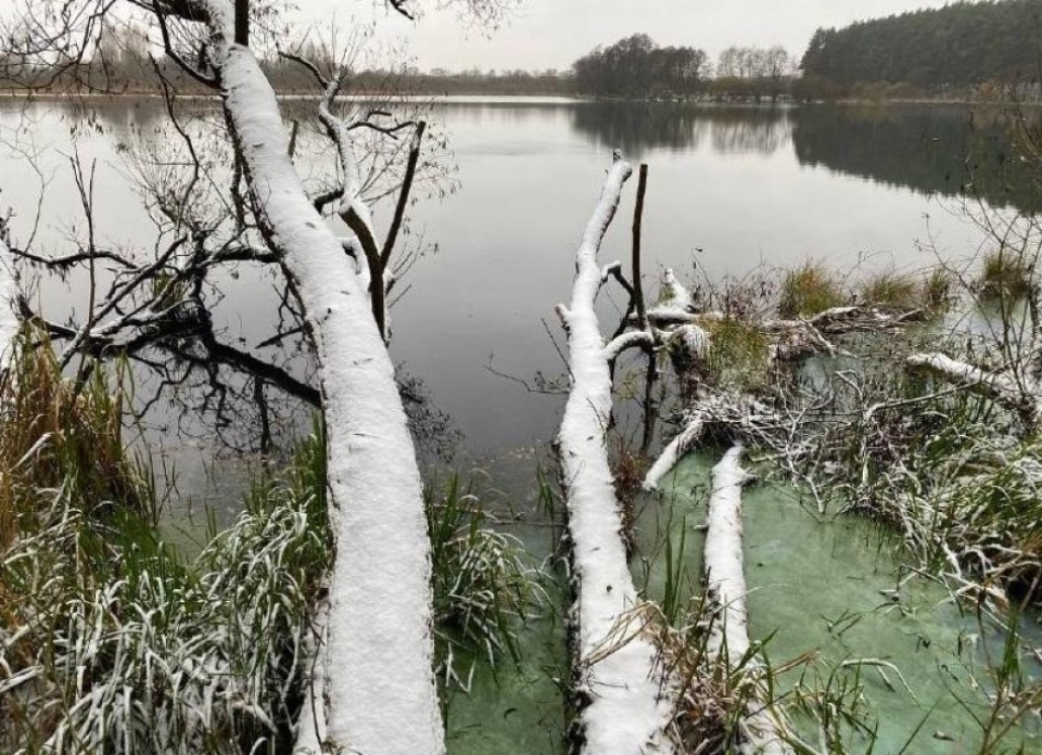 «Здесь живет редкость!»: что обнаружили экологи в заказнике «Вальцовский» к его юбилею