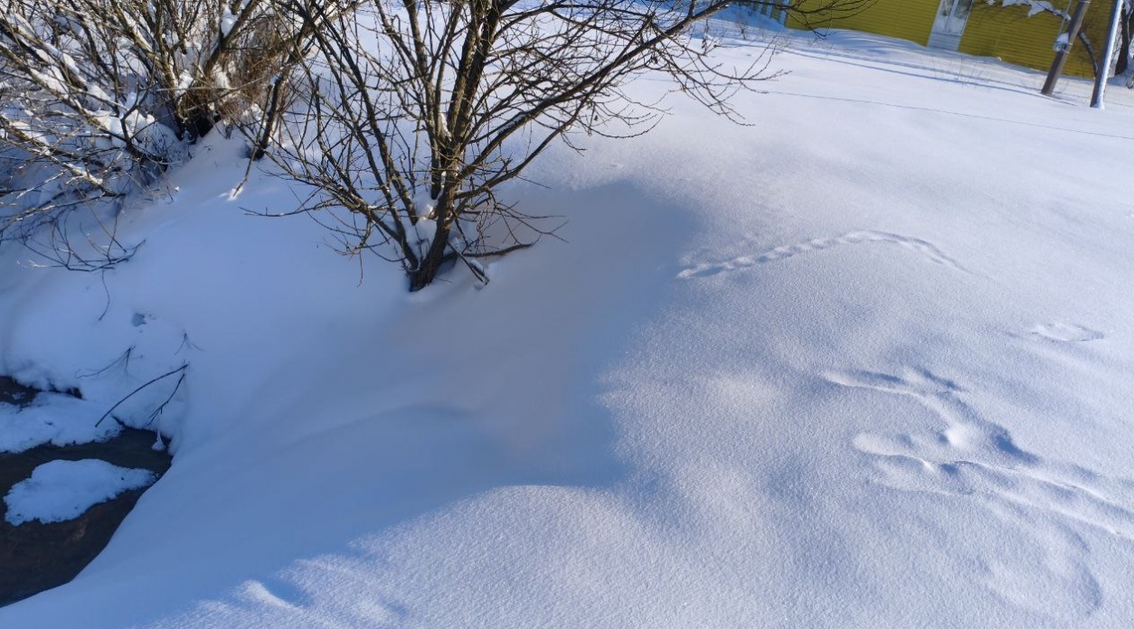 Боровские депутаты написали заявление в прокуратуру на «Водоканал»
