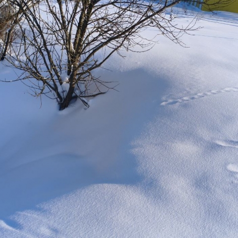 Боровские депутаты написали заявление в прокуратуру на «Водоканал»