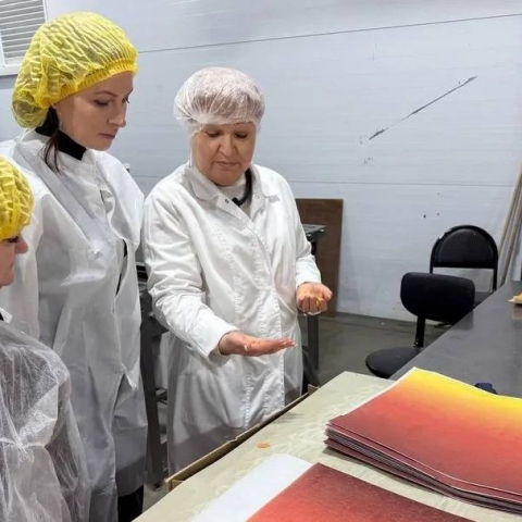 Предприятие Орехово-Зуевского округа освоило производство кристалл-боллов