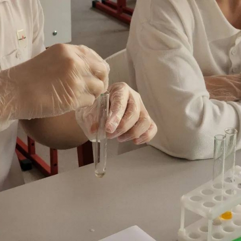 Студенты Можайского техникума раскрыли молекулярные загадки жизни