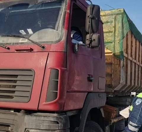 Штраф за свалку: в Коломне пресекли незаконный оборот мусора