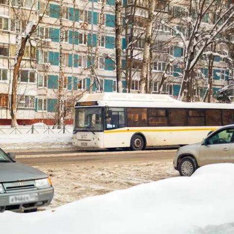Госавтоинспекция Можайска вышла на охоту за нелегалами и техническими неисправностями
