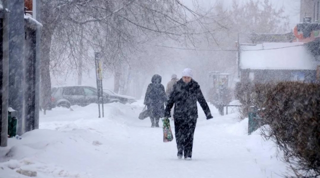 Коломну и Озеры накроет снежный шторм