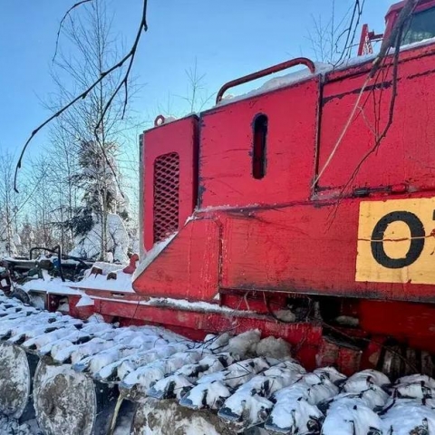 Легкие Можайска станут крепче: специалисты прочистят леса — список территорий