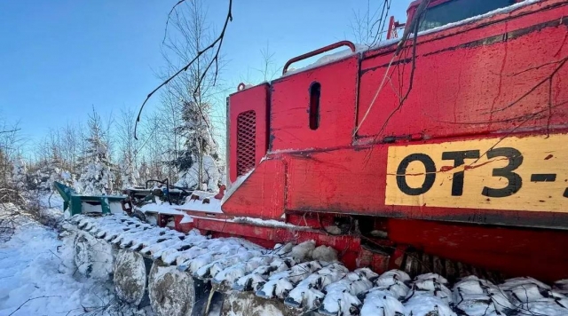Легкие Можайска станут крепче: специалисты прочистят леса — список территорий
