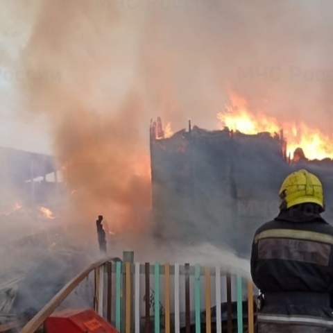 Пожар в Киржачском районе уничтожил конюшню конного клуба «ХорсиЯ»