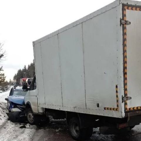 Медики оказали помощь пострадавшим в аварии около деревни Деревнищи