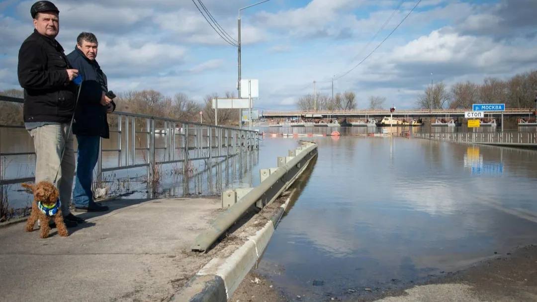 Движение по наплавным мостам в Коломне и Озерах ограничат на время паводка