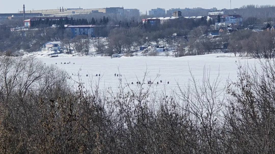Пропавшего рыбака ищут в Горках на реке Цна