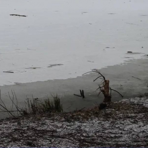 Март — и уже нельзя: егорьевцам объяснили, почему запрещено выходить на лед