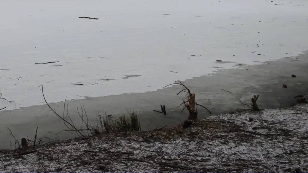 Март — и уже нельзя: егорьевцам объяснили, почему запрещено выходить на лед