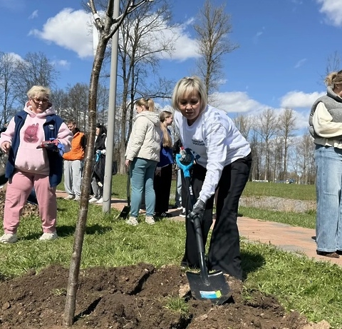 В парке «Ривьера» Можайского округа высадили 30 деревьев и развесили скворечники с посланиями жителей